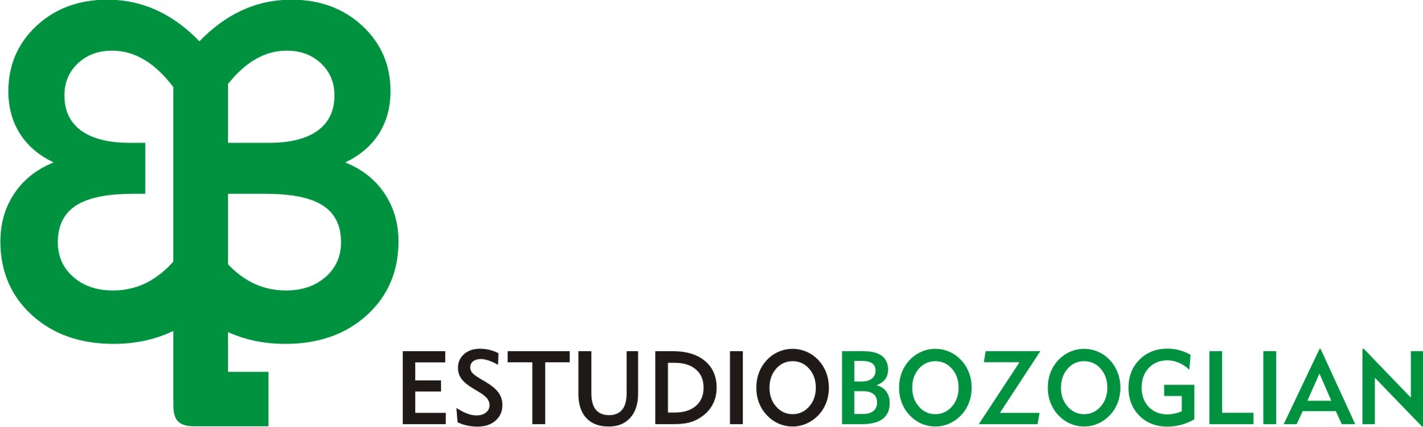 Estudio Bozoglian